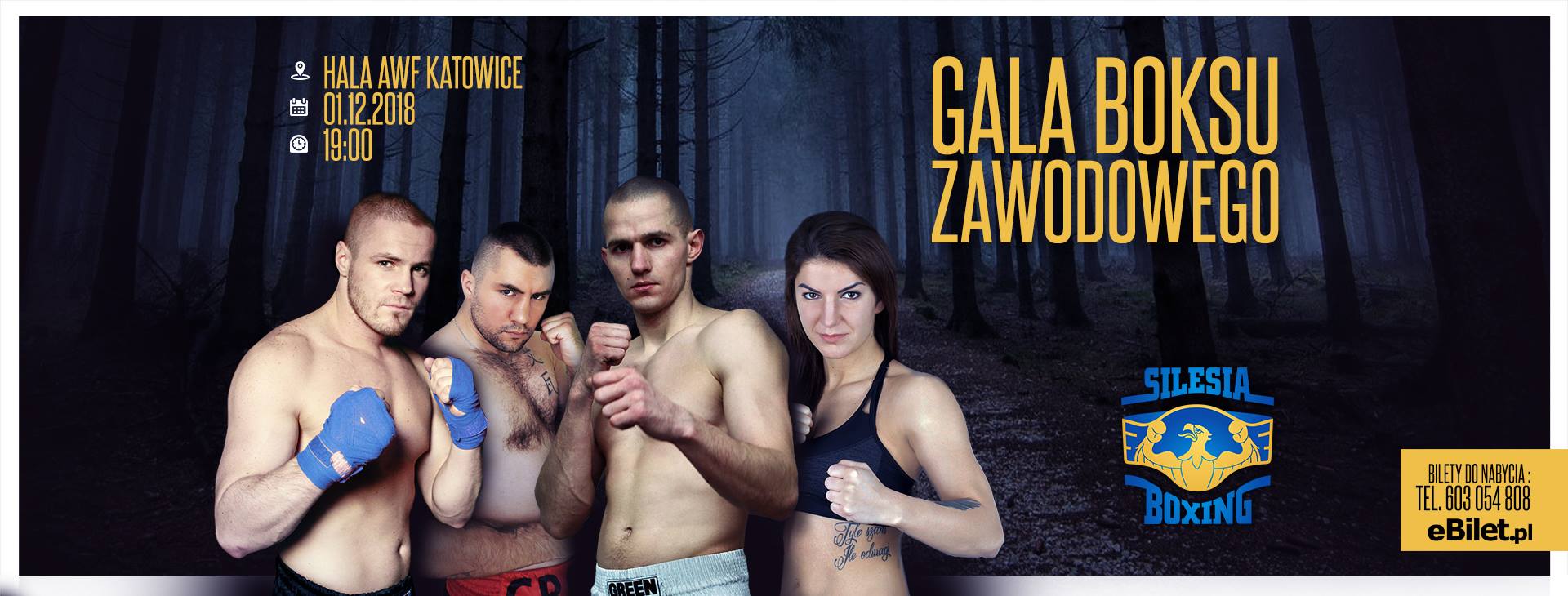 Gala boksu w Katowicach 